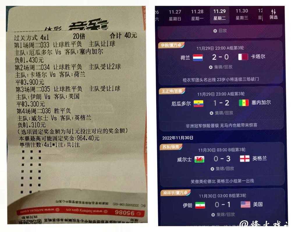 世界杯竞猜平台：高手分享稳赚不赔的心得